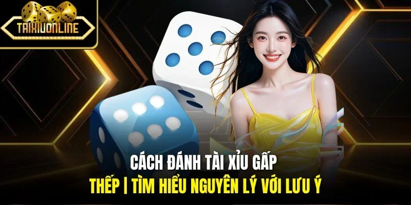 Cách Đánh Tài Xỉu Gấp Thếp | Tìm Hiểu Nguyên Lý Với Lưu Ý