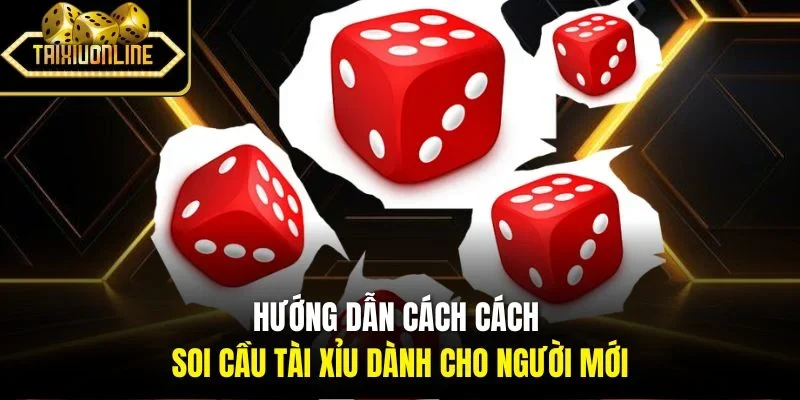 Hướng dẫn cách cách soi cầu tài xỉu dành cho người mới