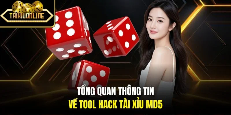 Tổng quan thông tin về tool hack tài xỉu MD5