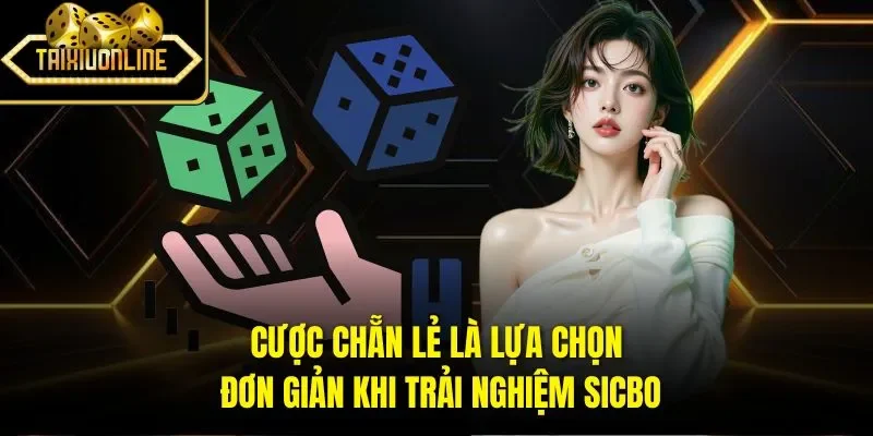 Cược Sicbo theo số có tỷ lệ trả thưởng siêu cao